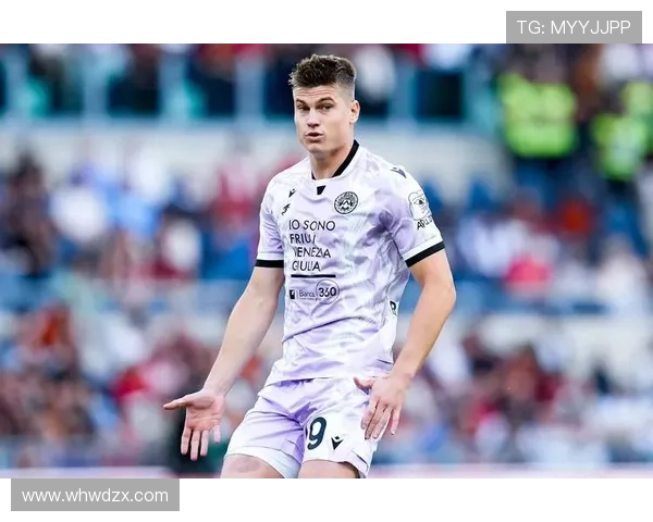 乌迪内斯防守体系本赛季表现稳健，结构清晰且竞争力增强