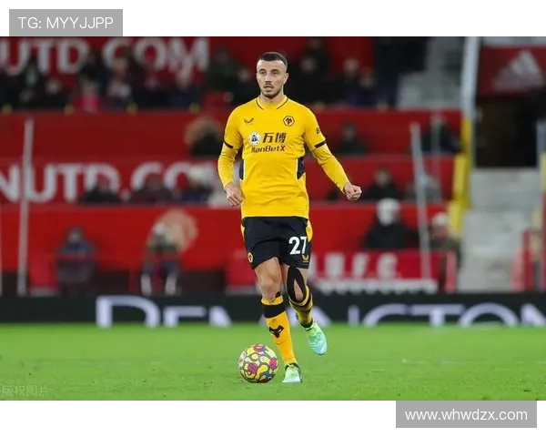 奥尔莫高位压迫参与度解析