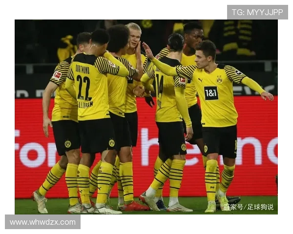 本泽马与哈兰德:终结效率及战术角色对比分析 本泽马与哈兰德:终结效率及战术角色对比分析