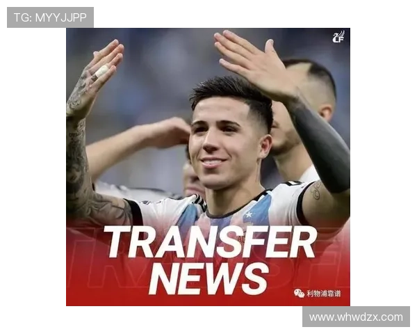 恩佐费尔南德斯：被高估的交易价值与战术角色的核心解读