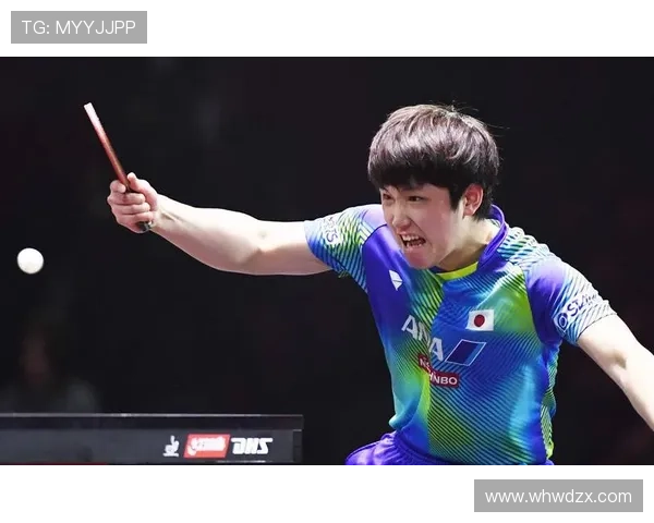 张本智和家里那桌乒乓球拍，比我房子还贵，真是有钱人的玩具啊！