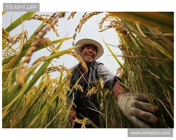 瓦伦西亚长期重建困局，竞争力持续受限