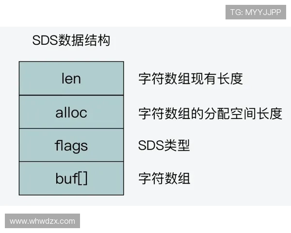 什么是24秒违例？看完这篇新手也能快速搞懂！